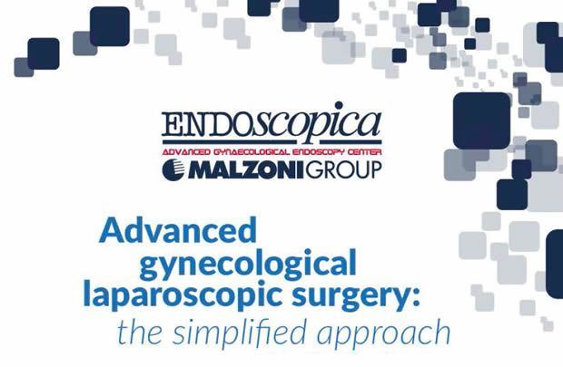 Advanced gynecological laparoscopic surgery: the simplified approach
